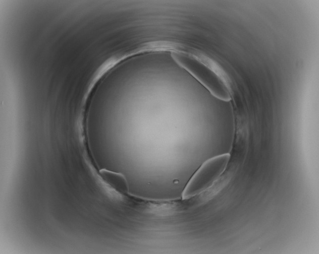 X0000115590997200911171026