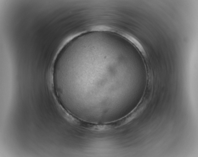 X0000115591000200911171026