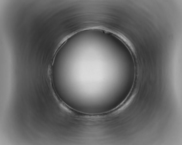 X0000115591001200911171026