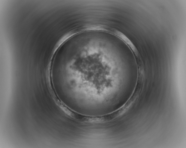X0000115591002200911171026