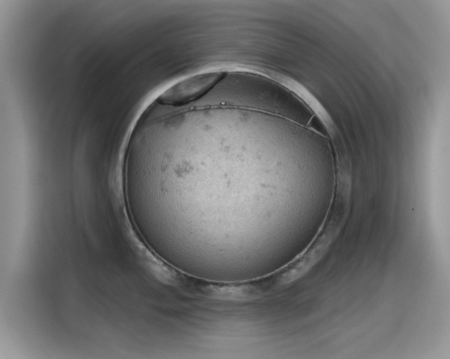 X0000115591004200911171026