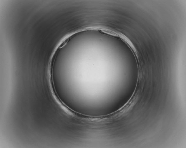 X0000115591005200911171026