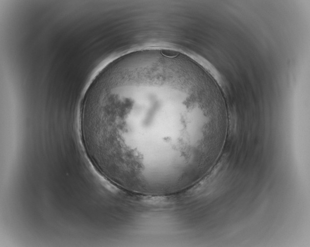X0000115591006200911171026