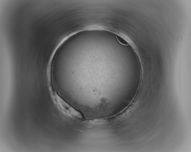 X0000115591008200911171026
