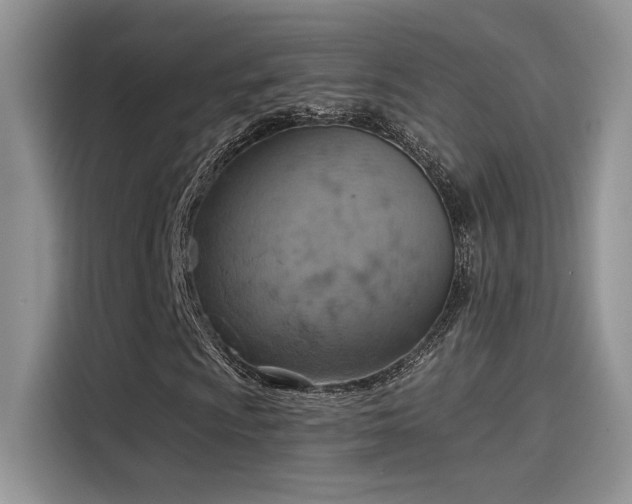 X0000115591009200911171025