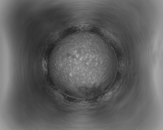 X0000115591010200911171025