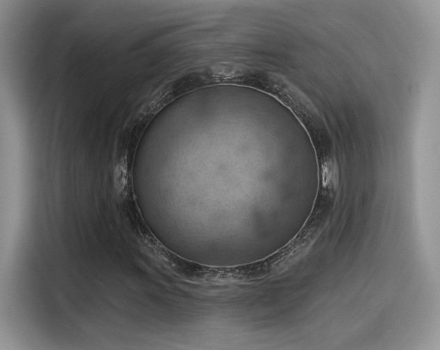 X0000115591011200911171025