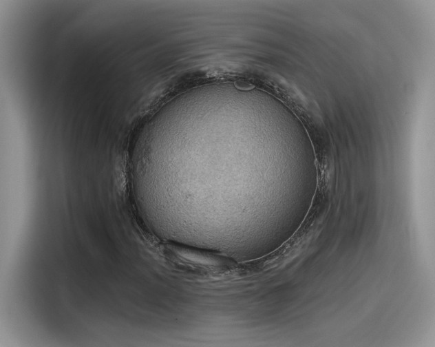X0000115591012200911171025
