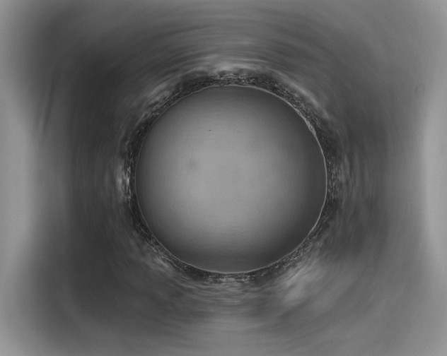 X0000115591013200911171025