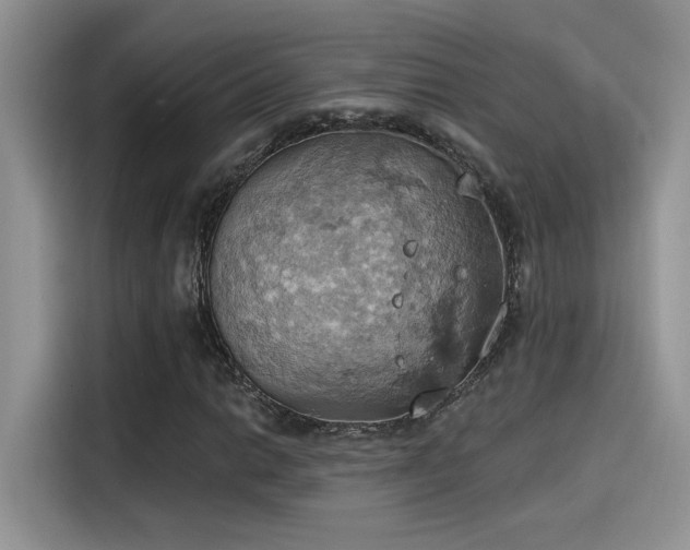 X0000115591014200911171025