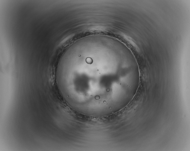 X0000115591015200911171025