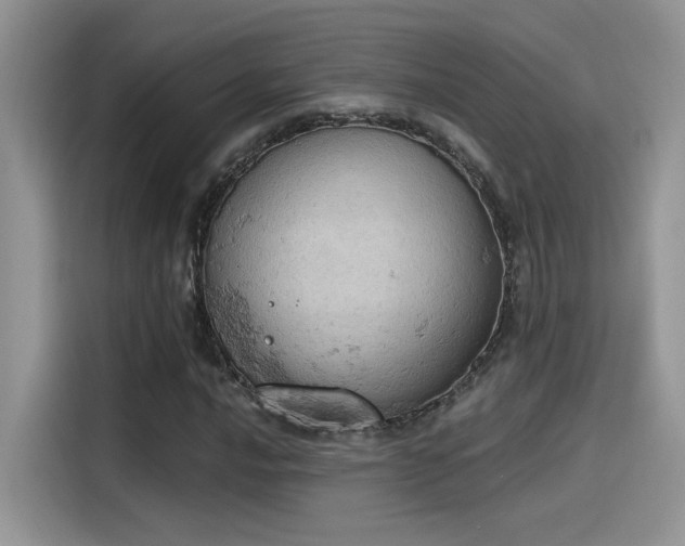 X0000115591016200911171025