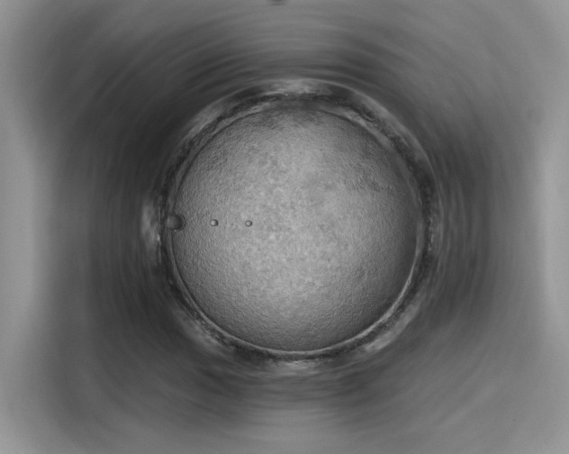 X0000115591017200911171025