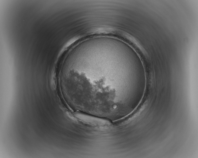 X0000115591018200911171025