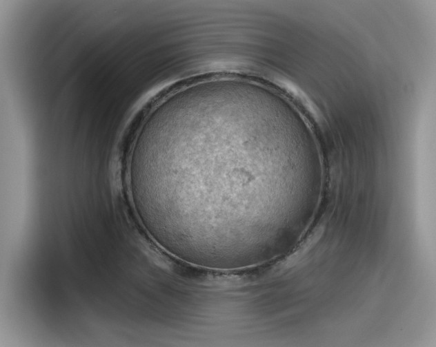 X0000115591019200911171025