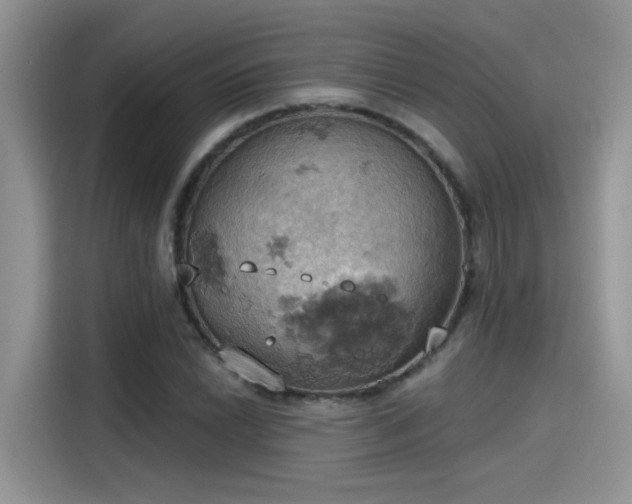 X0000115591022200911171025