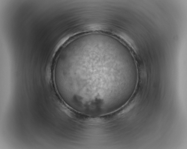 X0000115591023200911171025