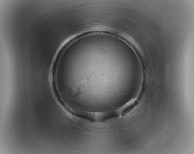 X0000115591024200911171025