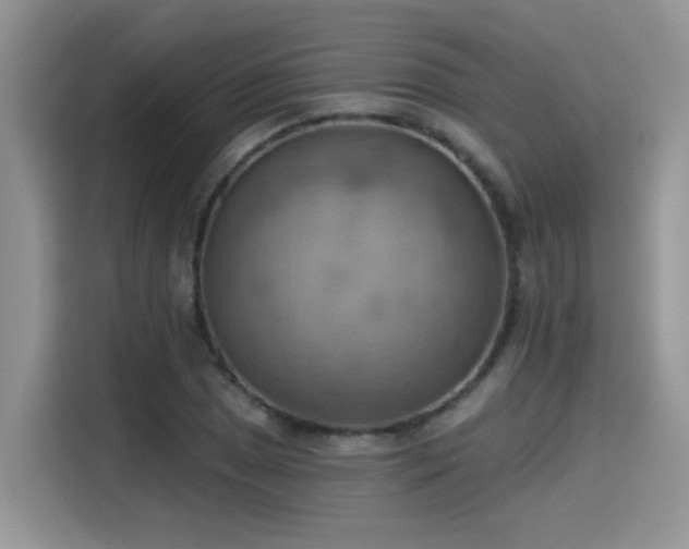 X0000115591025200911171025
