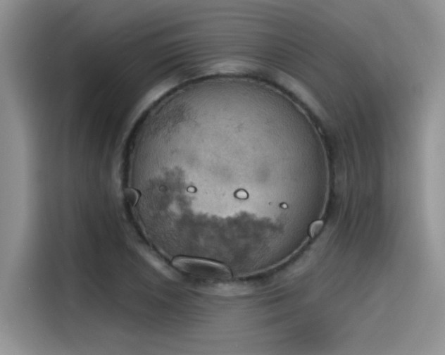 X0000115591026200911171025