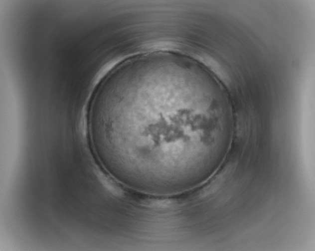 X0000115591031200911171025