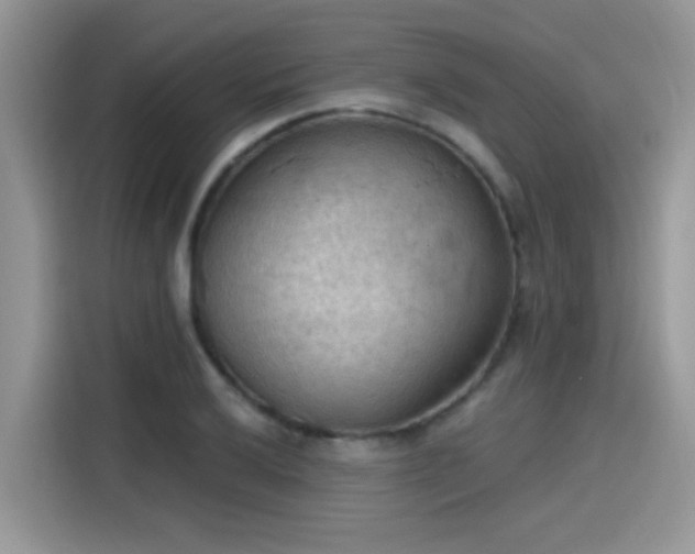 X0000115591032200911171025