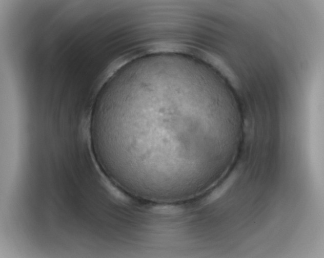 X0000115591033200911171025