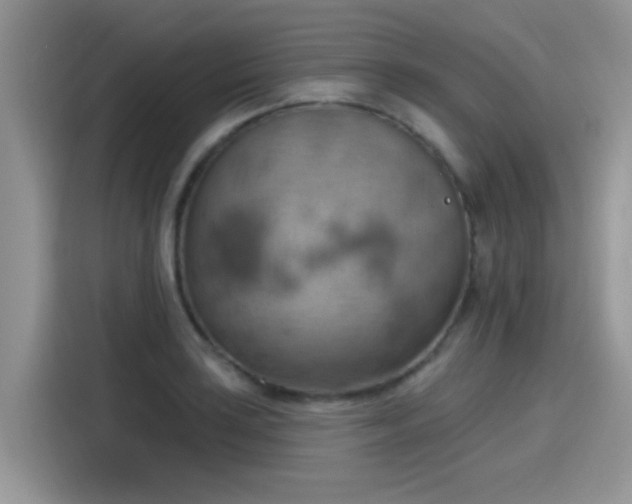 X0000115591035200911171025