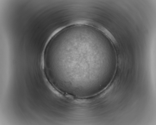 X0000115591036200911171026