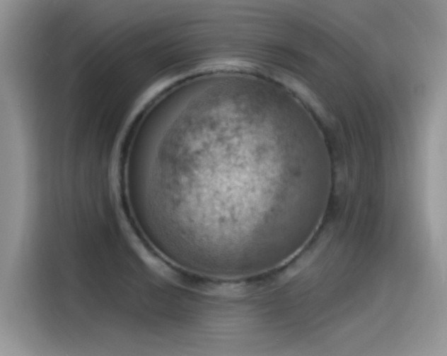 X0000115591038200911171026