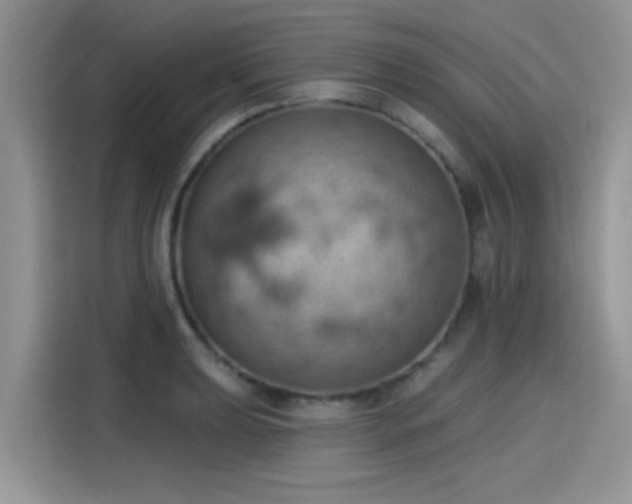 X0000115591039200911171026