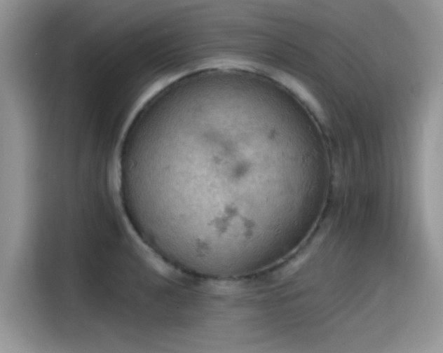 X0000115591040200911171026