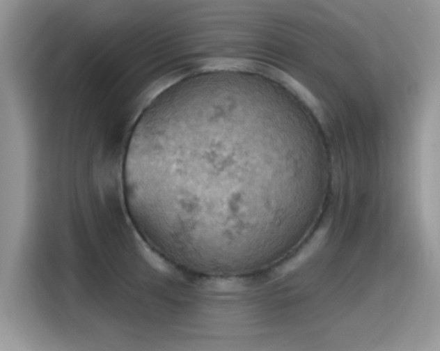 X0000115591041200911171026