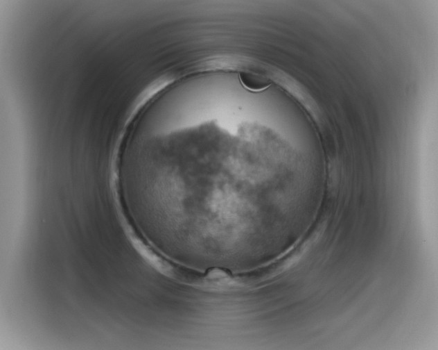 X0000115591042200911171026