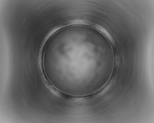 X0000115591043200911171026