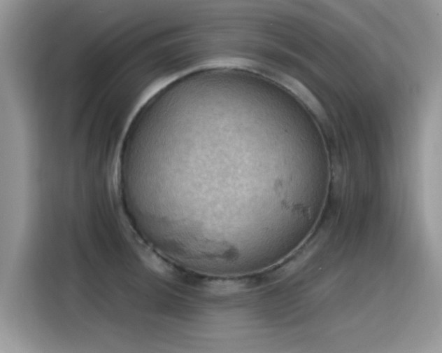 X0000115591044200911171026
