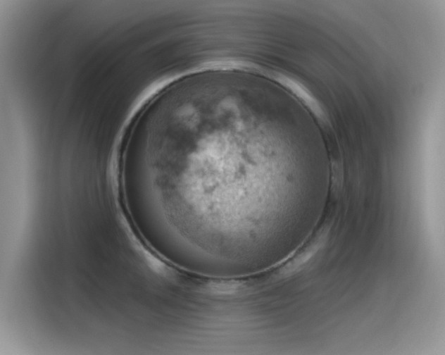 X0000115591046200911171026