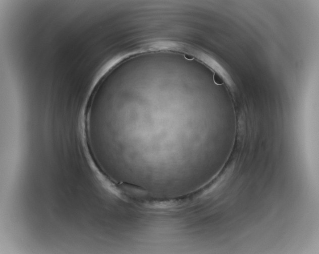 X0000115591047200911171026
