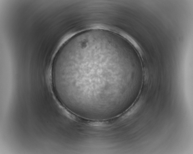 X0000115591048200911171026