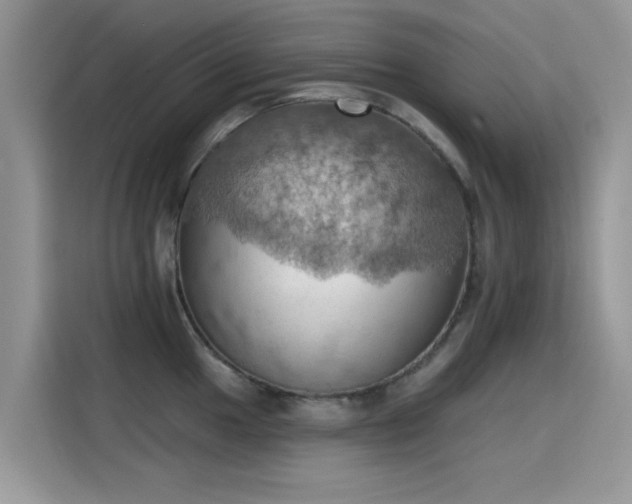 X0000115591049200911171026