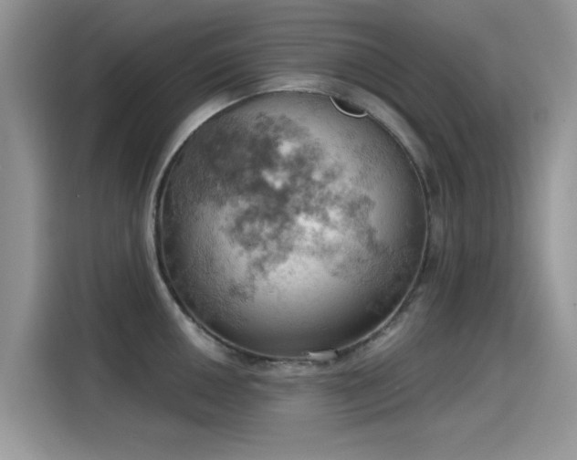 X0000115591050200911171026