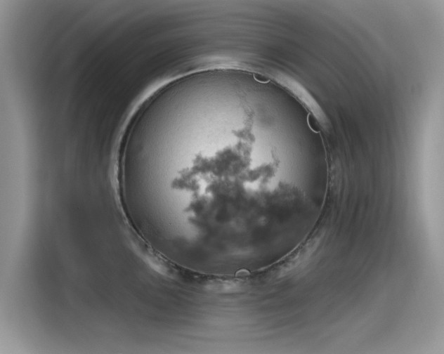X0000115591051200911171026