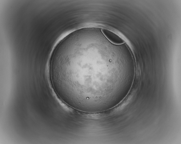 X0000115591053200911171026