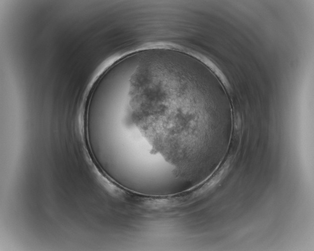 X0000115591054200911171026