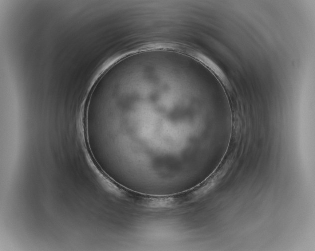 X0000115591055200911171026