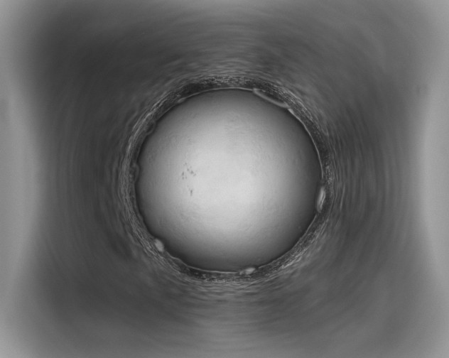 X0000115591057200911171025