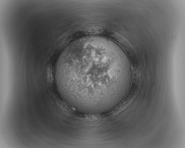X0000115591058200911171025