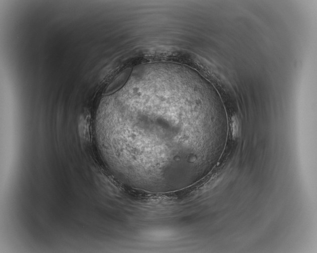 X0000115591059200911171025