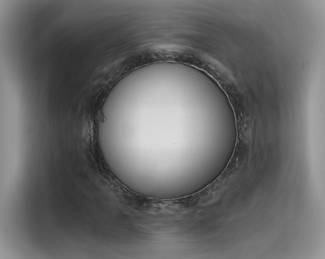 X0000115591061200911171025