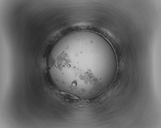 X0000115591062200911171025